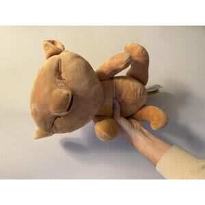 Disney parks the lion king show